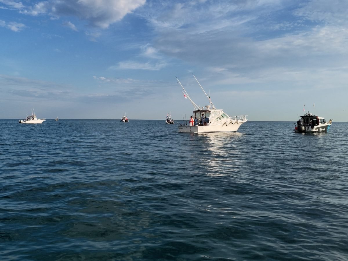 La flotta del campionato in mare al largo di Ancona